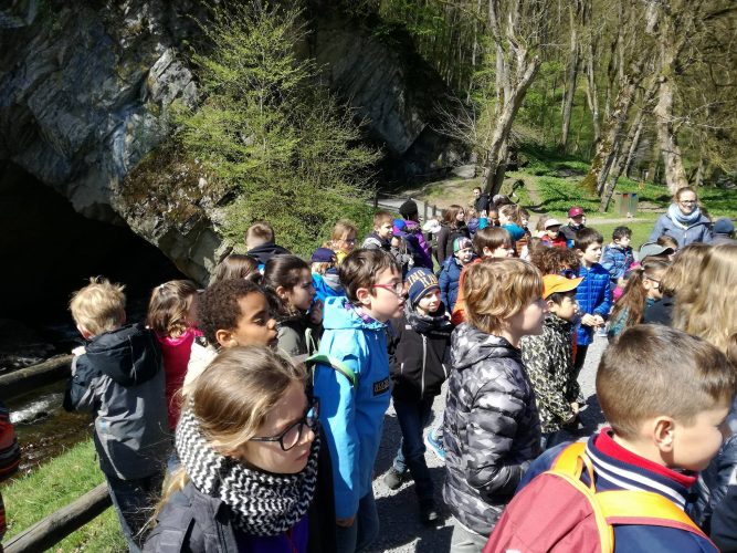 Les élèves du primaire partent en excursion à Han-sur-Lesse!