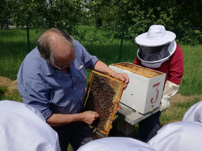 L'Abeille arlonaise, visite des ruchers par les élèves de 3ème, 4ème et 5ème années